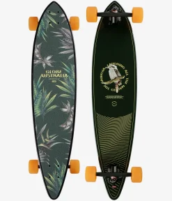 Globe Pintail 37" (94cm) Komplett-Longboard (kookaburra)